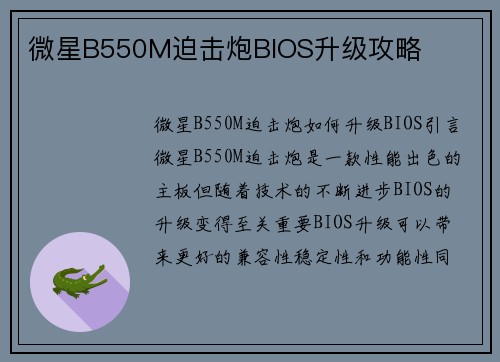 微星B550M迫击炮BIOS升级攻略