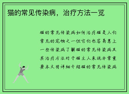 猫的常见传染病,治疗方法一览