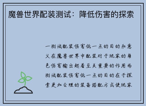 魔兽世界配装测试:降低伤害的探索